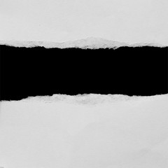 pieces of torn paper. copy space
