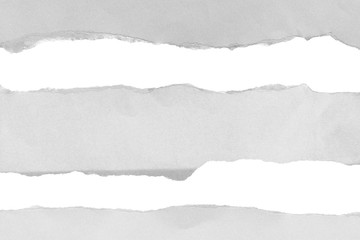 pieces of torn paper. copy space