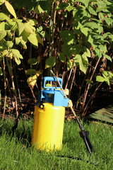 Modern garden pressure sprayer on the lawn in the sunny garden