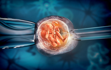 D rendering of an artificial insemination or in-vitro fertilization of an egg cell,ovum or zygote - obrazy, fototapety, plakaty
