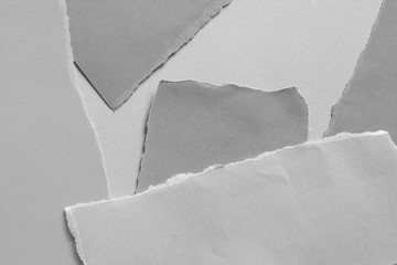 pieces of torn paper. copy space