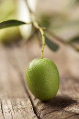 arbequina olives from Catalonia, Spain