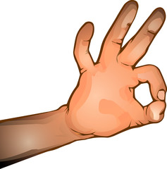 OK gesture vector illustration isolated