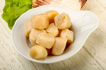 Raw scallops heap