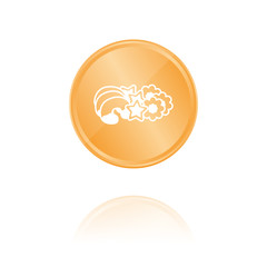 Kekse - Bronze Münze mit Reflektion