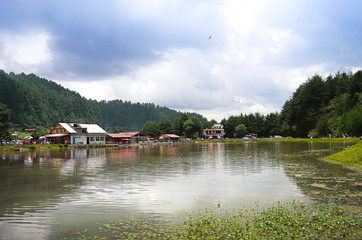 Fototapeta na wymiar una cabaña en medio de un gran bosque, con un lago en frente. Lugar perfecto para usar la tiroleza de extremo a extremo del valle