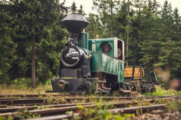 Beautiful Old Steam Locomotive in the Forest