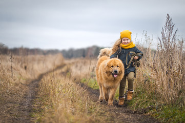 The girl walking with the loyal good dog two times … 9757