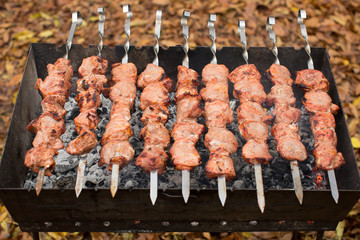 Barbecue Grilled pork kebabs meat lamb kebab marinated caucasus barbecue meat shashlik shish kebab outdoors picnic, soft selective focus , series
