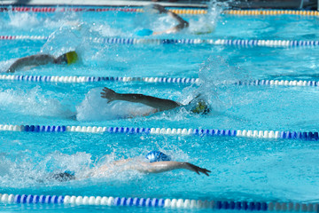 Swimming competitions.