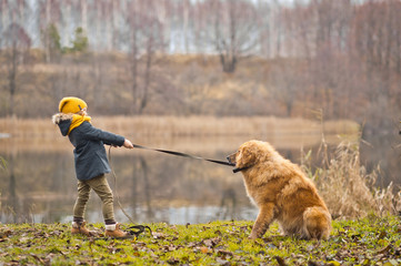 Girl playing with a big guard dog at autumn lake 9817.