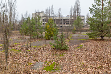 Central square in overgrown ghost city Pripyat.