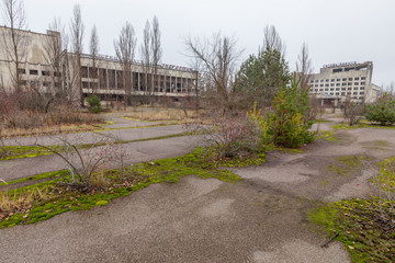 Central square in overgrown ghost city Pripyat.