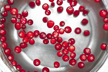 Red cranberries in water