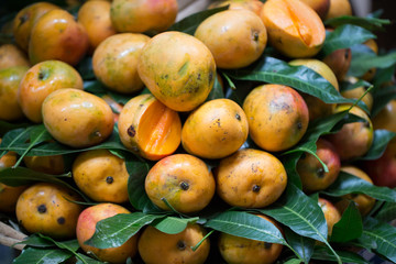 Selling fresh mangoes in the Indian market in Mauritius