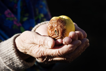 Half-rotten apple in the old grandmother's hands