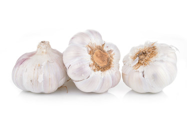 Garlic isolated on white