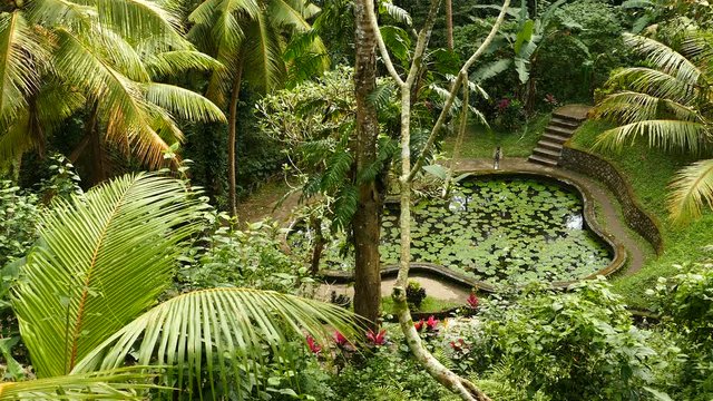 Natural pond at Goa Gajah temple, Bali, Indonesia