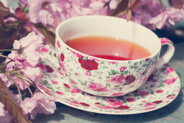 Obraz na płótnie Canvas Beautiful cup of English tea with blooming Japanes cherry tree flowers