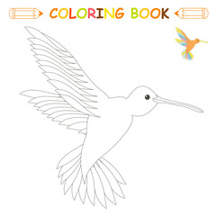 Children coloring page vector illustration, cute hummingbird in monochrome and colour version for kids coloring book