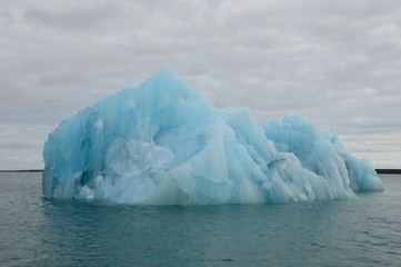 Iceberg nella laguna