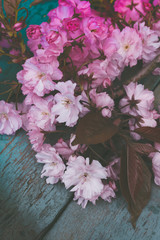 Fototapeta na wymiar Rustic style Spring background with pink Japanese cherry blossom close up