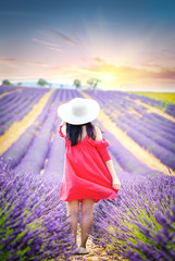 La beaut&eacute; de Valensole