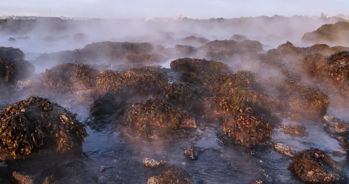 Steaming seaweed swamp, coastal geothermal water, residential houses Iceland wide