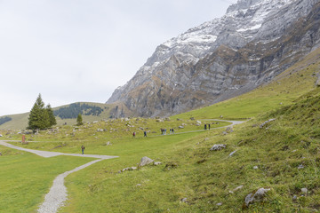 Fototapeta premium Beautiful view of valley mountain Saentis, Switzerland