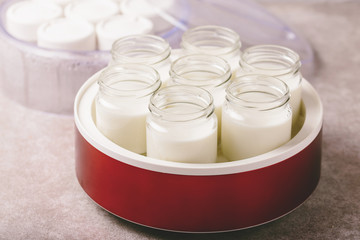 Obraz na płótnie Canvas Homemade greek yogurt and yogurt maker. Healthy food