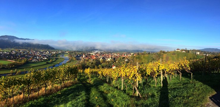 Panorama von Gengenbach