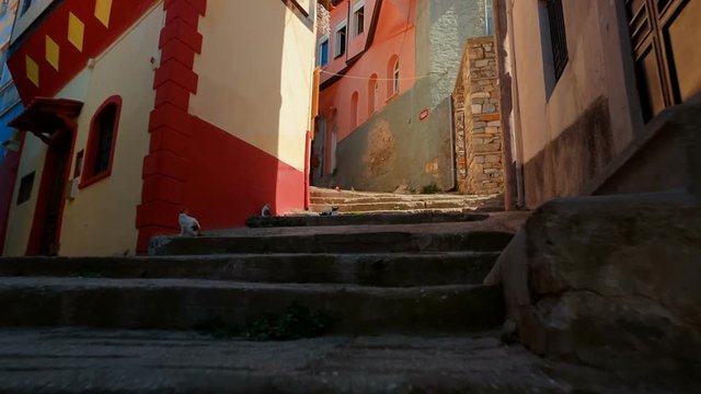 Climbing an old picturesque typical street full of cats in the city of Kavala, Greece. Kavala  is the main seaport of eastern Macedonia