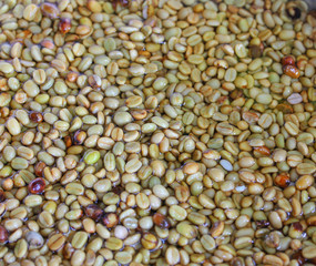 Clean coffee beans with water before to dry