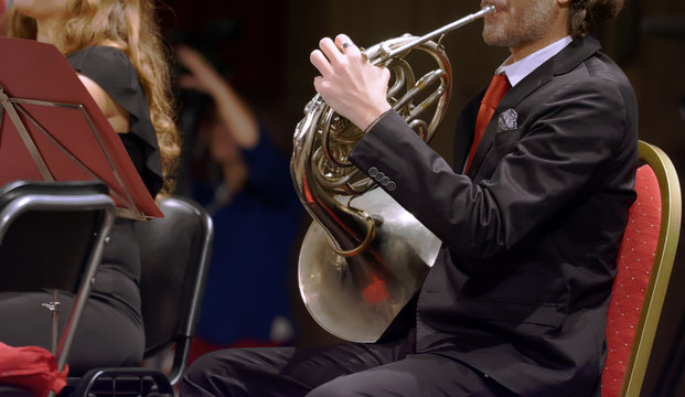 musicians in concert