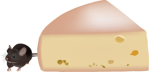 forma di formaggio con roditore topo