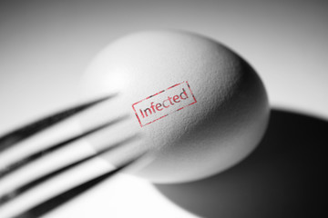 Infected and dangerous eggs, unhealthy food