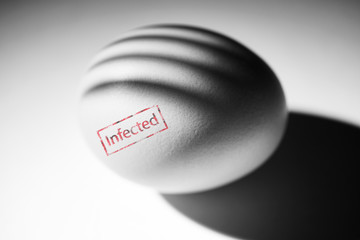 Infected and dangerous eggs, unhealthy food