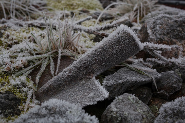 Frozen showel, rocks and herbs