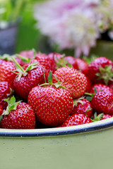 Strawberry garden party. Floral arrangement