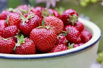 Strawberry garden party. Floral arrangement