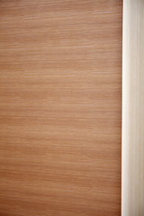 Texture of wood background 
