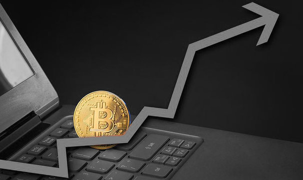 bitcoin money cripto coin
