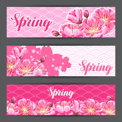 Spring banners with sakura or cherry blossom. Floral japanese ornament of blooming flowers