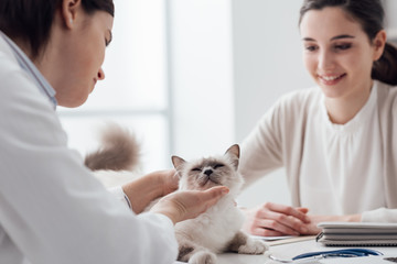 Veterinarian visiting a pet