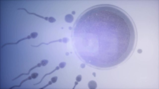 sperm and egg cell. frosen microscopic research