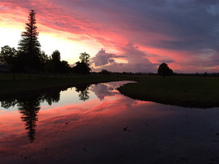 Nature is Beautiful NSW Australia