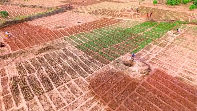 Aerial, farmers work on irrigation land