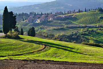 Fototapeta premium Tuscan landscape, Italy