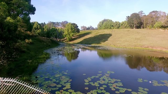 fishpond aerial flyover