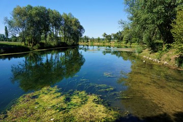 Fototapeta na wymiar Calm Krka river in Kostanjevica na Krki